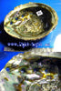 Abalone shell for burning
